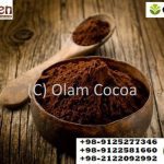 پودر کاکائو ارگانیک