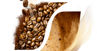 قهوه گلد اکوادور اصلی